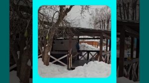 1000056988.mp4 (Собака наблюдает за устройством лестницы на 2-ой этаж в доме А-фрейм)