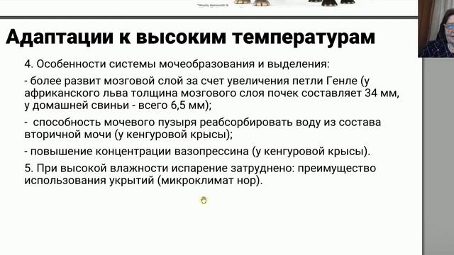 Биология. Адаптации к среде обитания. Сербина С.Е.