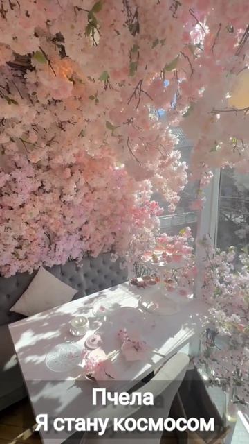 Красивые виды всегда должны быть под красивые треки. Пчела/я стану космосом #пчела #ястанукосмосом