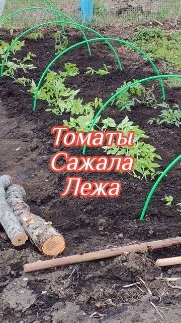 Град.... А мы сажаем... 🙏🧐 
Бывает и такое... Что поделать😉