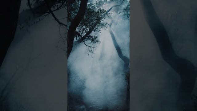 Before the Collapse. The song is in English.