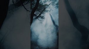 Before the Collapse. The song is in English.