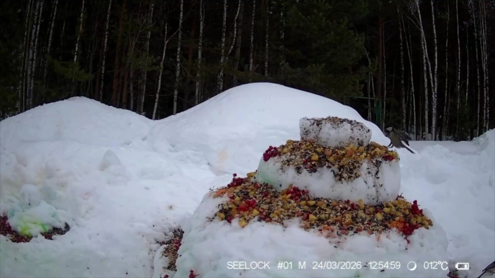 Югра онлайн