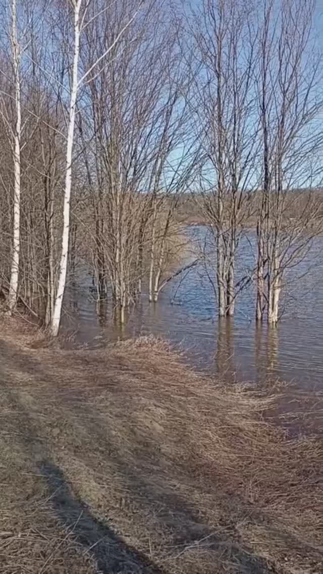 Половодье. Вятка разлилась и затопило луга.