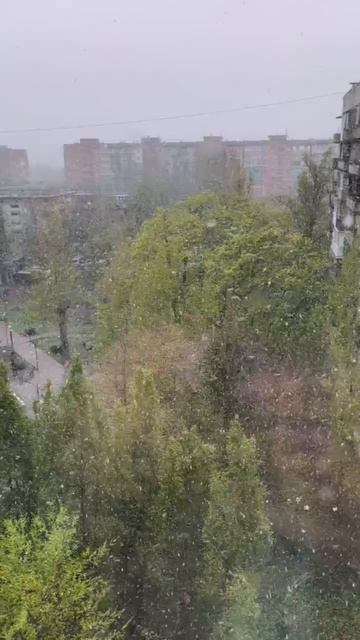 Заянварило за окном❄️🌨