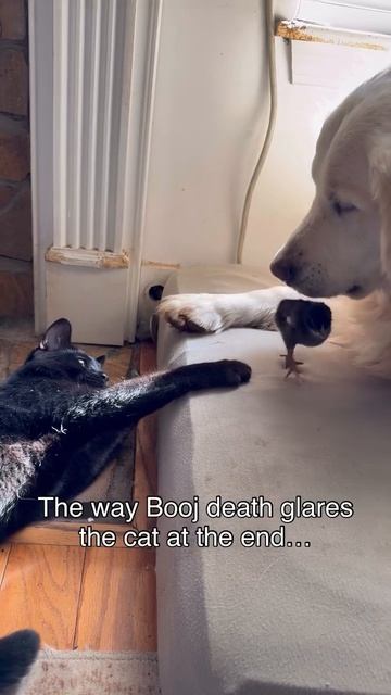 video_2026-03-03_10-06-29