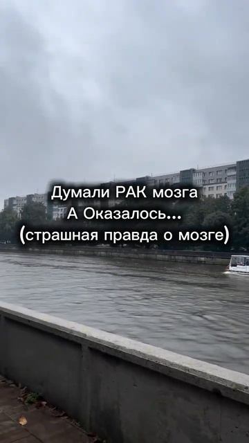 Правда о раке мозга #германскаяноваямедицина #гнм #психолог #психосоматика #психология
