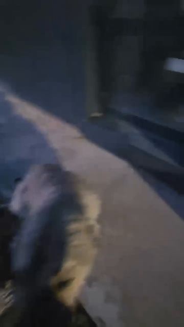 🕊 СПАСЛИ САО ГЕРДУ❗ПОСТ В ОПИСАНИИ 🎥 🙏💯🙏🩺💊  #сао #собака #алабай #любовь #помощь #приют