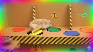 Хомяк-исследователь покоряет мир миньонов! часть 5