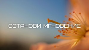 Останови мгновение. Часть 2. Куда бы ты ни шел  - ты уже там. Джон Кабат-Зинн. Аудиокнига