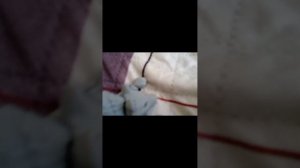 фильм)2 НУЖНО ВЫЖАТЬ!💀🐺)