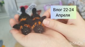 Нас накрыл мощный циклон снежный/ у меня новая игрушка овчарка/ получила кукол