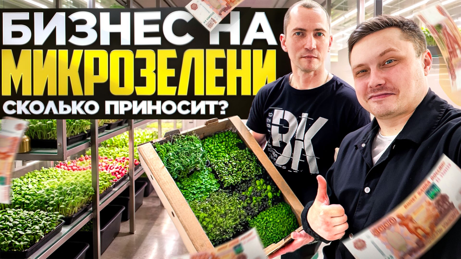 Бизнес на микрозелени: сколько можно заработать с нуля?