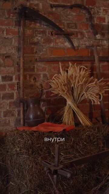 MEA Калининград light