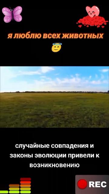 Я люблю всех животных😇