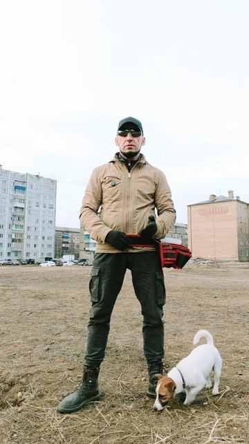 ДРЕССИРОВКА НЕРВНОЙ СИСТЕМЫ СОБАКИ: как воспитать стрессоустойчивого питомца