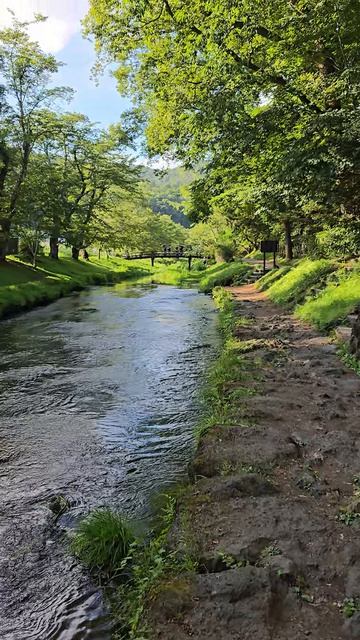 Река с чистою водой в деревне Ошино Хаккаи Япония