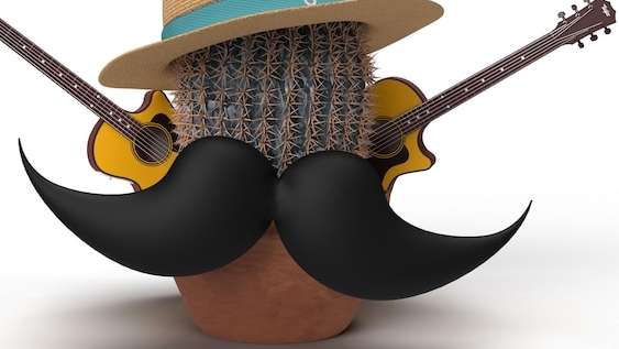 Разбор песни ЧижСо - Она не вышла замуж  12 струн  на гитаре