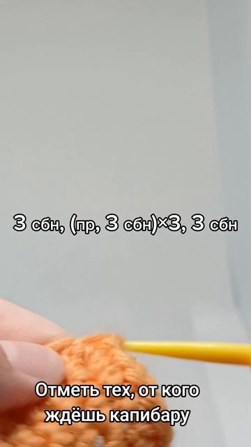 Как связать капибару?