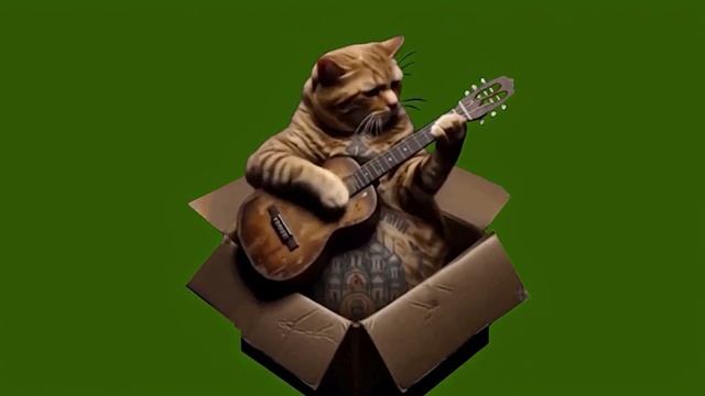 Шансон-Там. на елках_encoded