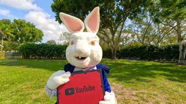 Настя и картонный отель