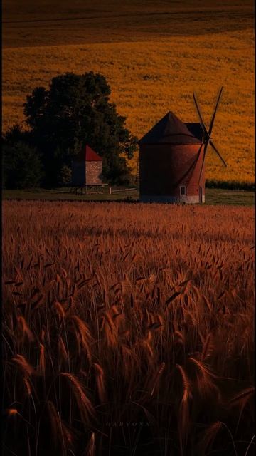 🧡безмятежность🧡