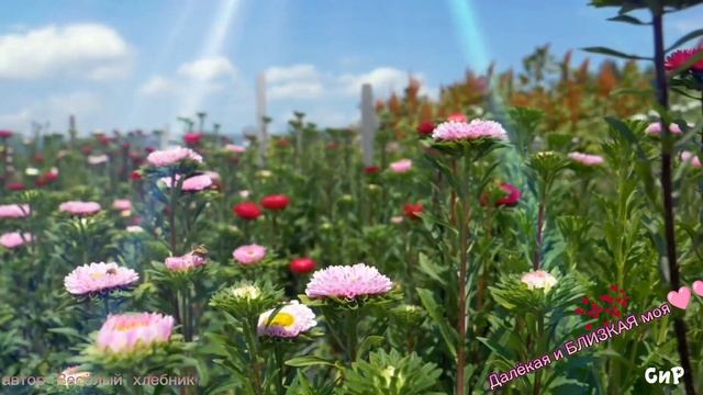 Далёкая и БЛИЗКАЯ моя. автор Весёлый хлебник