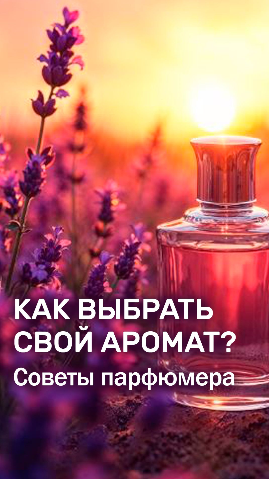 Учимся общаться через аромат  Секреты парфюмера