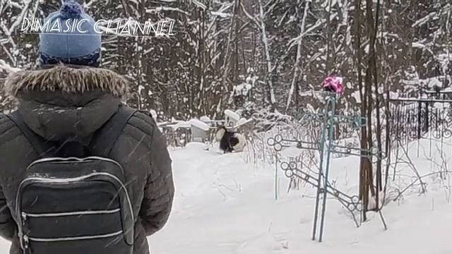 Сельское кладбище в Заволжском районе