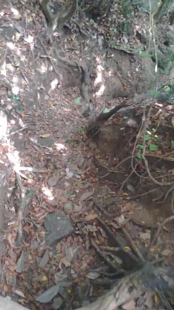 Дорога через джунгли #beach #thailandtravel #thaibeauty #travel #jangle Route in jangle