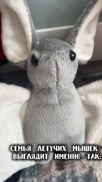 Ищите мышек на вб: BALORI