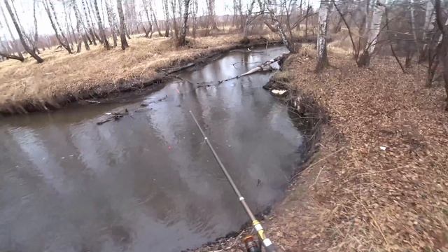 Рыбалка на ХАРИУСА В Апреле по БОЛОТУ_ КЛЮЁТ ИЗ ПОД КОРЯГ!!!