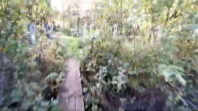 Кладбище Ново Талицы 2 часть