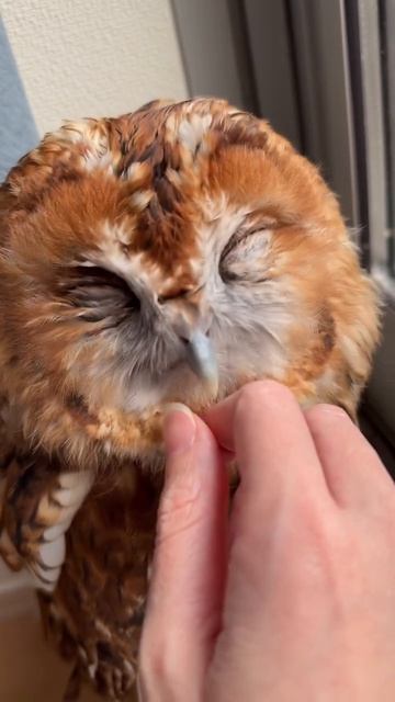 video_2026-03-03_10-06-34