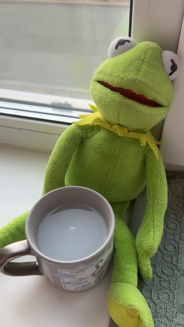 Синбиотик из провинции Канвон