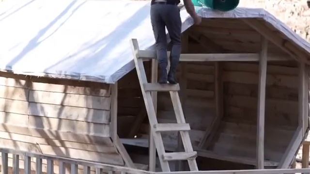 Мой дом в джунглях