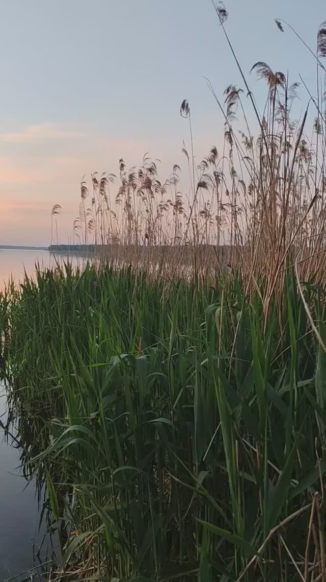 Мир прекрасен. Закат в Подмосковье.