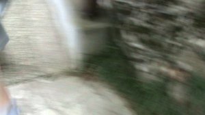 146)з ДЕНДАРИ ПАРК СОЧИ