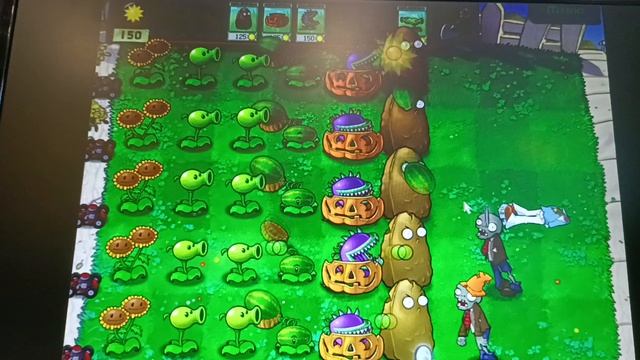 начало выживания ночь.mp4