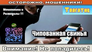 Мошенники звонят по телефону _ Чипованная свинья ( сборник ).