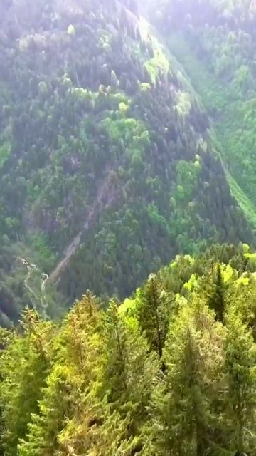 ВОЛШЕБСТВО ПРИРОДЫ:ЗЕЛЁНЫЕ ЛУГА И БЕЗГРАНИЧНЫЕ ПРОСТОРЫ.