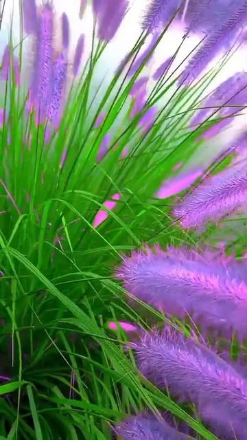 katyboro видеооткрытка      рекомендации врек топ врекомендации