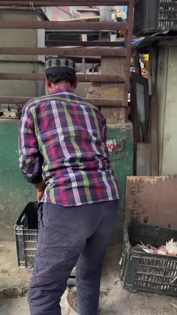 Сегодняшний шок-контент