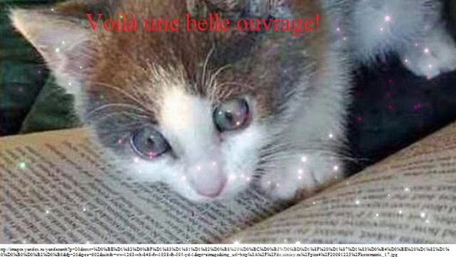 Когда читаешь интересную но очень страшную книгу. 2026-04-20-12-22-14-831