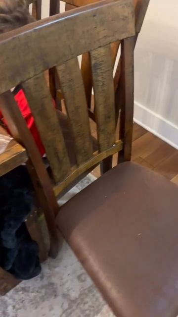 video_2026-03-05_12-59-39