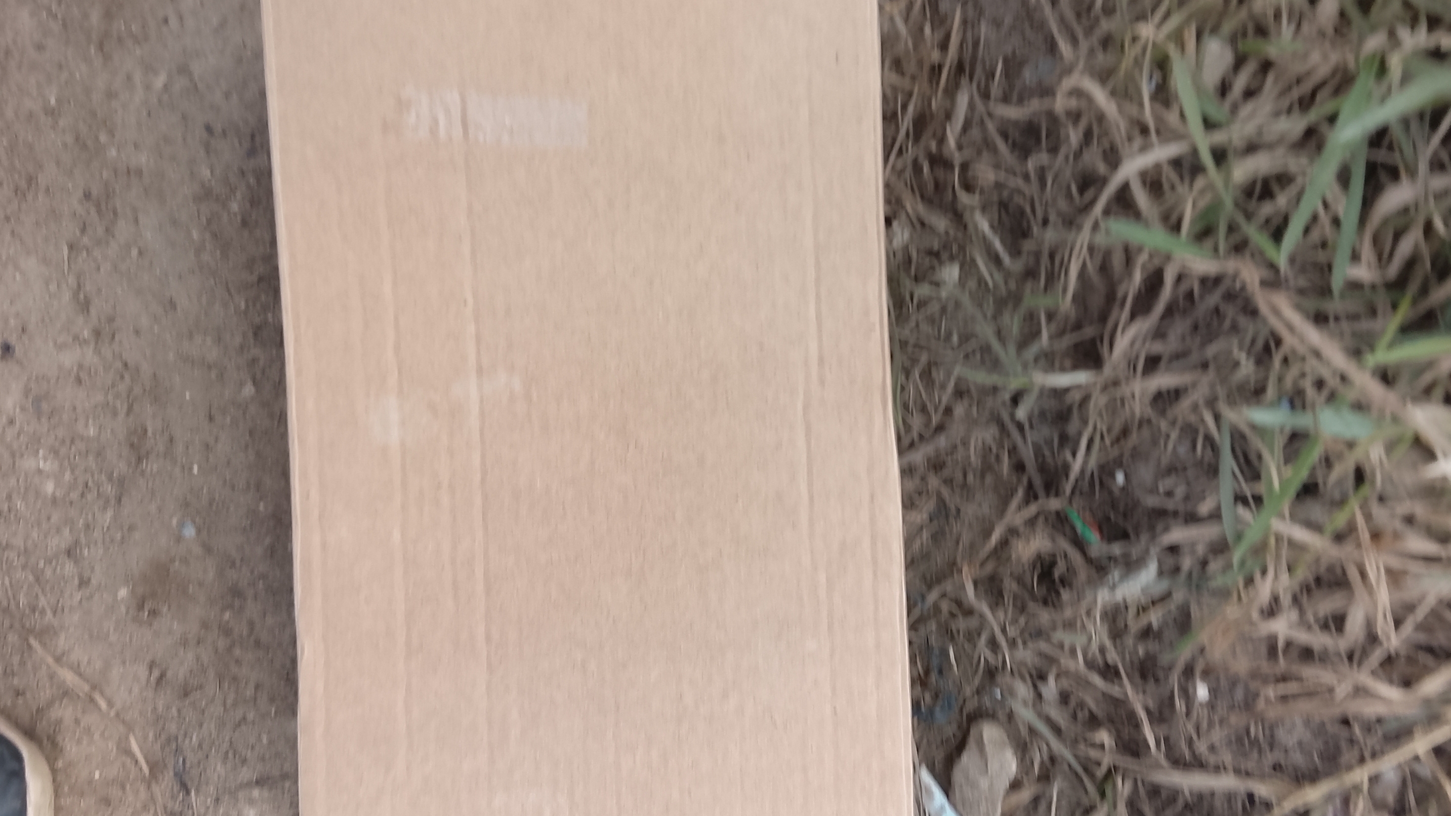 ко мне пришла в гости моя лп