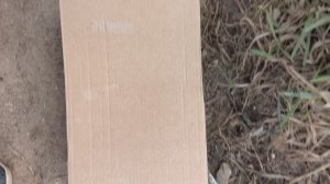 ко мне пришла в гости моя лп