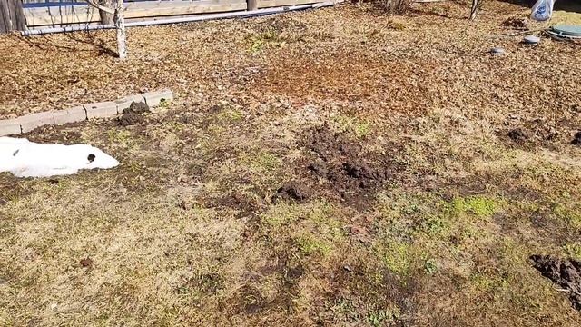 какой чудесный день 
24 апреля