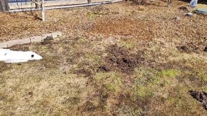 какой чудесный день 
24 апреля