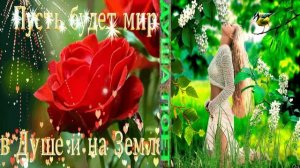 Душа Танцует- Стихи Максима Сафиулина